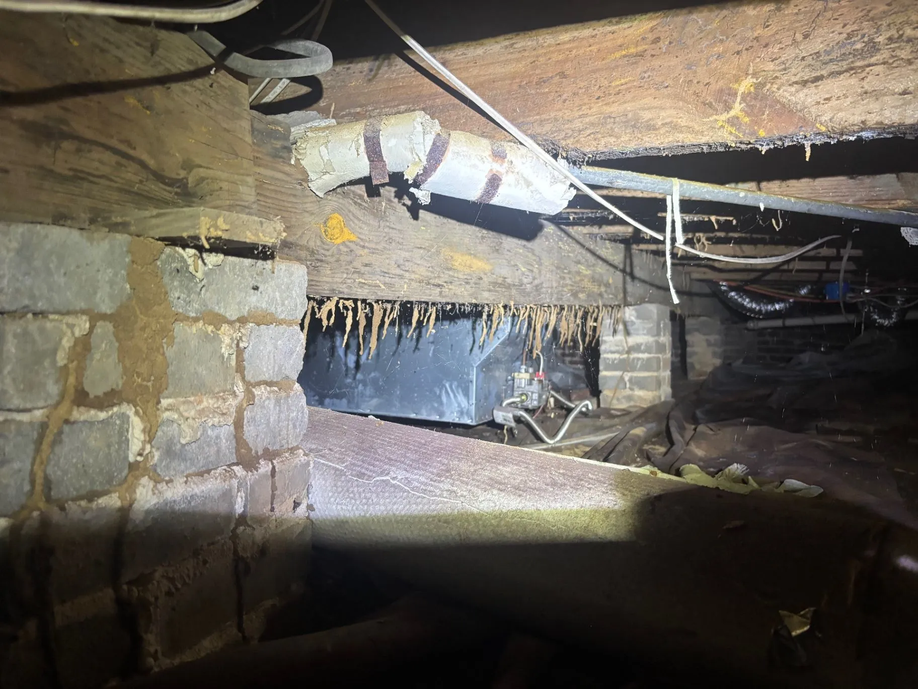 Termite shelter tubes hanging from wood framing in a home crawl space.